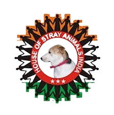 WhatsApp_Image_2026-04-10_at_12.07.42_PM__7_-removebg-preview